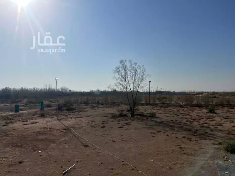 مزرعة للبيع في شارع الملك عبدالله , مدينة خليص, منطقة مكة المكرمة 13