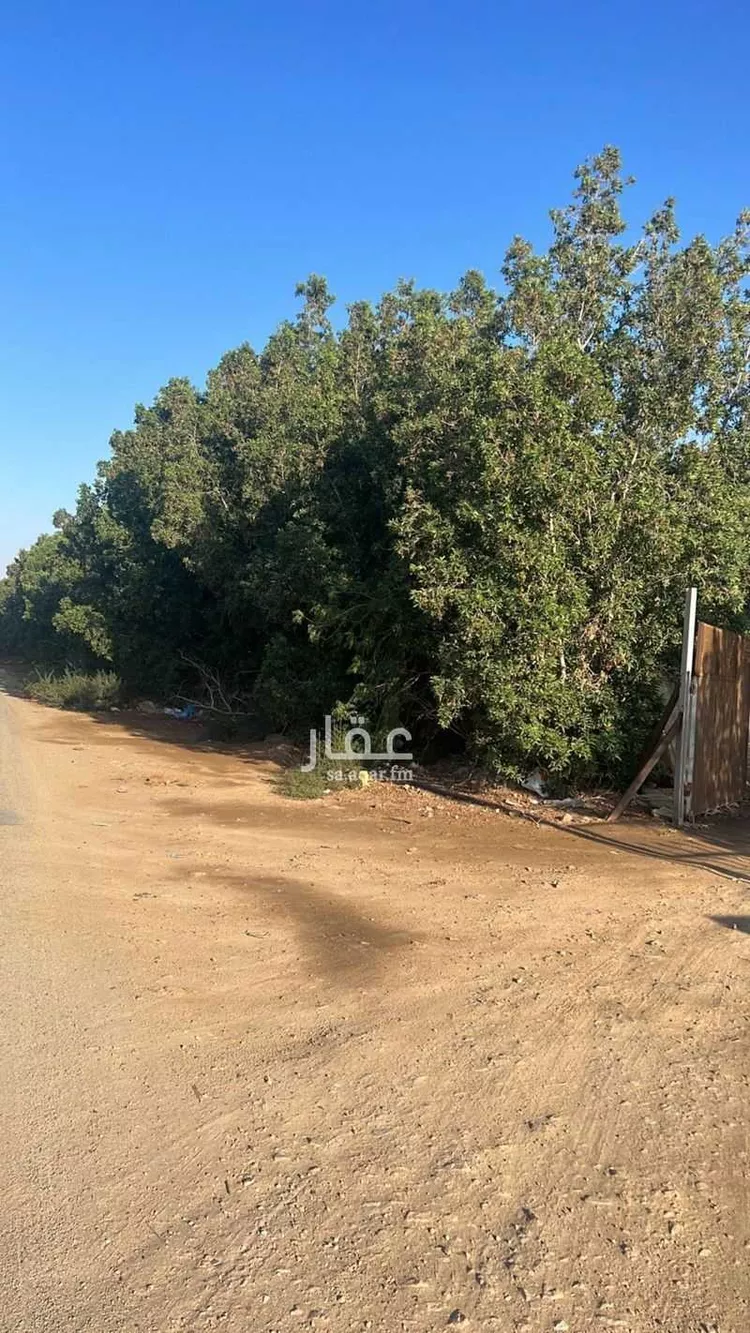 مزرعة للبيع في شارع طريق النزهة, حي النزهة, مدينة خليص, منطقة مكة المكرمة صورة 4