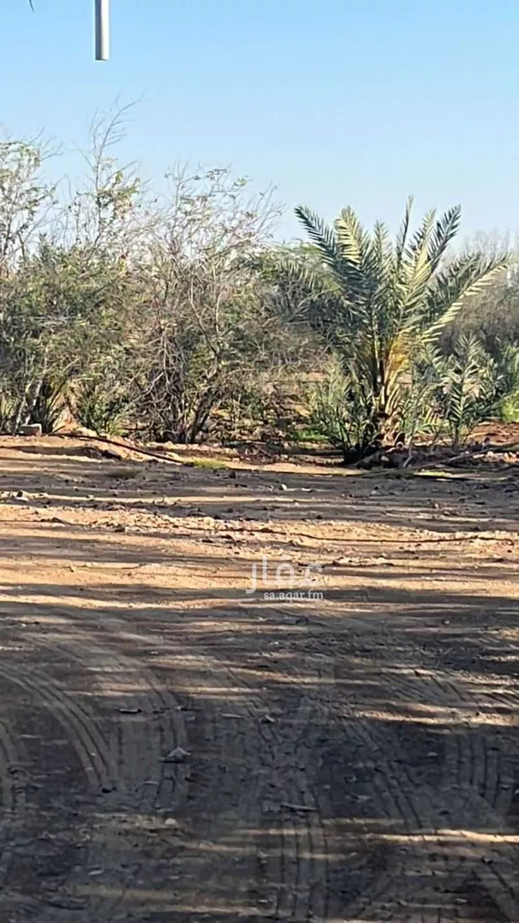 مزرعة للبيع في شارع الملك عبدالله , حي النزهة, مدينة خليص, منطقة مكة المكرمة صورة 4
