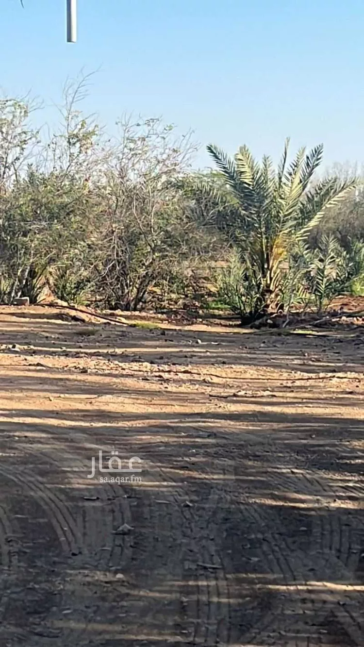 مزرعة للبيع في شارع طريق النزهة, حي النزهة, مدينة خليص, منطقة مكة المكرمة صورة 3