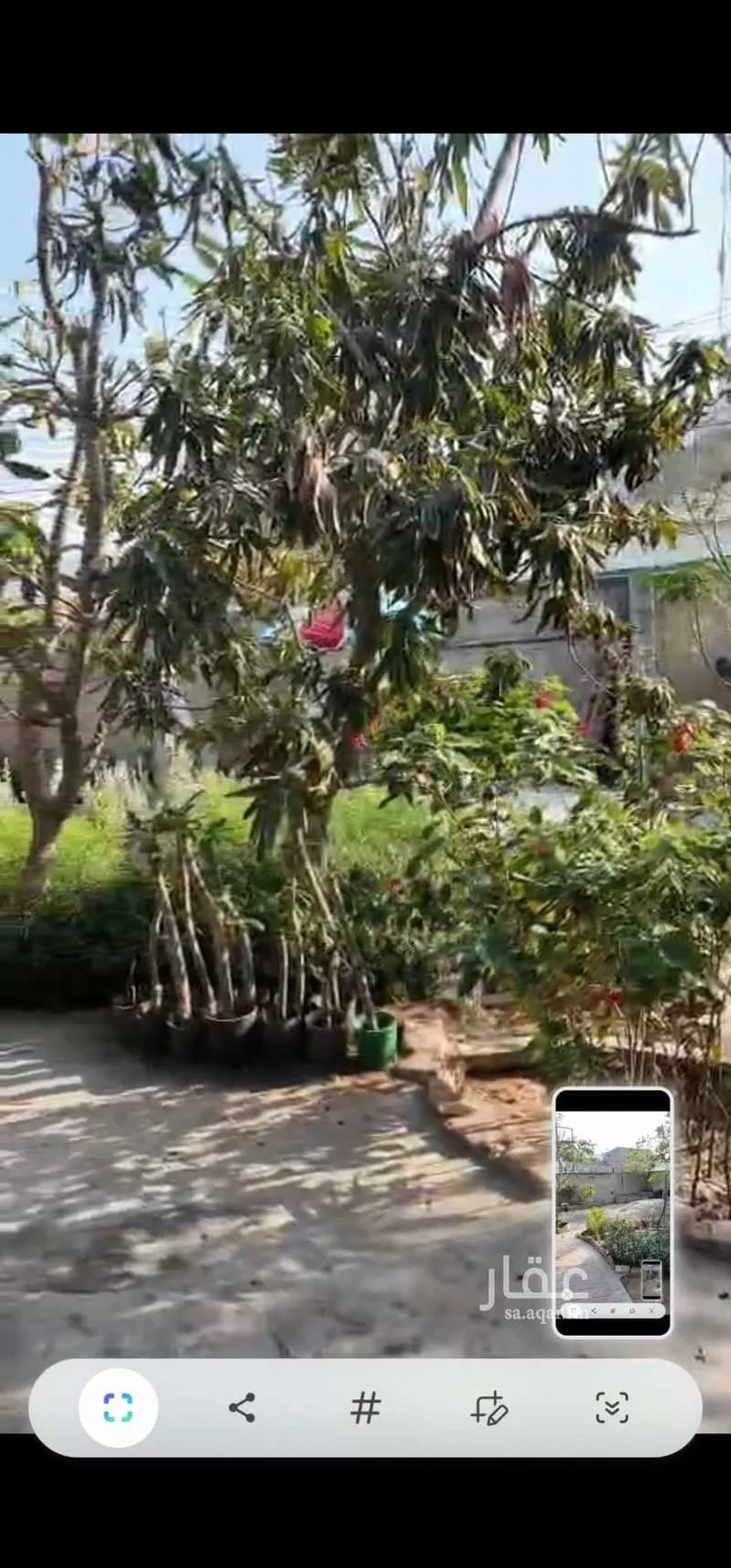 Villa for Sale in Mecca Ash Sharai صورة 5