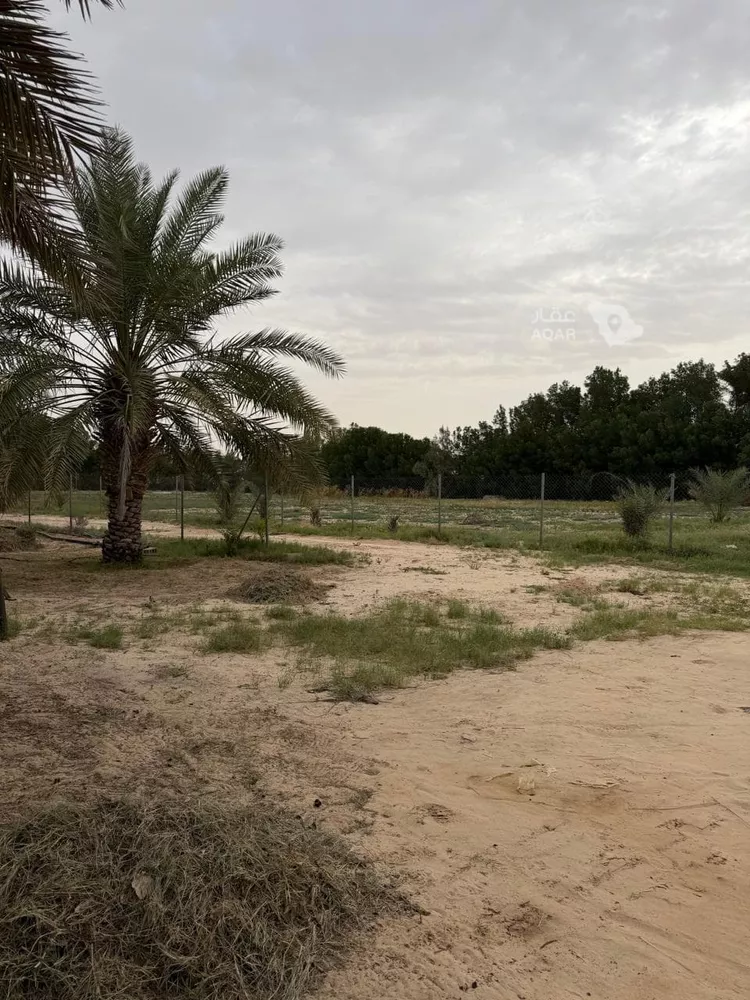 مزرعة للبيع في حي تخاييل, مدينة تخاييل, منطقة حائل 6