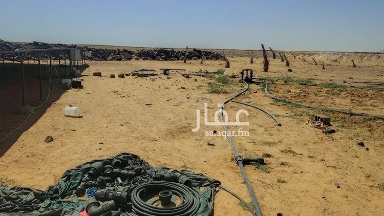 مزرعة للبيع في حي الإرشاوية, مدينة الارشاويه, منطقة حائل 6