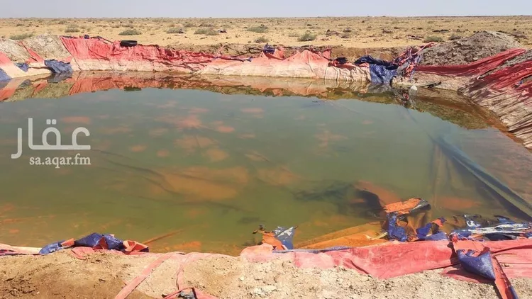 مزرعة للبيع في حي الإرشاوية, مدينة الارشاويه, منطقة حائل صورة 5