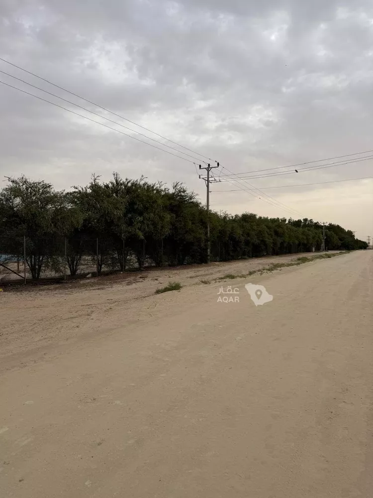 مزرعة للبيع في حي تخاييل, مدينة تخاييل, منطقة حائل 9