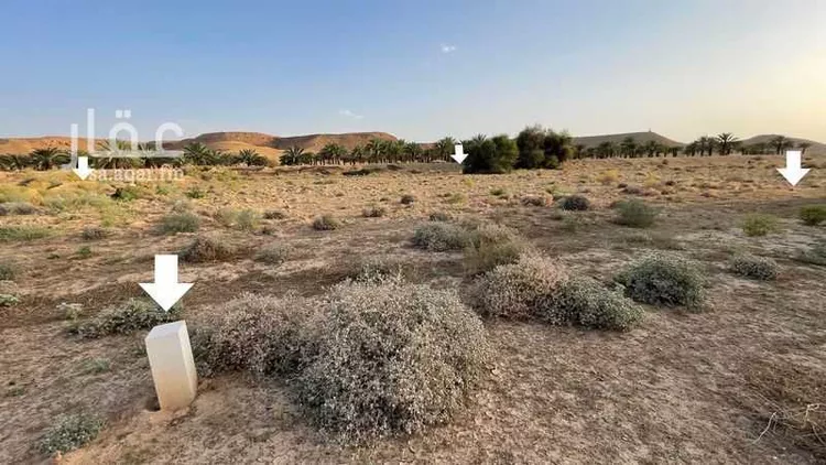 أرض للبيع في حي النخيل ، حريملاء ، حريملاء صورة 3