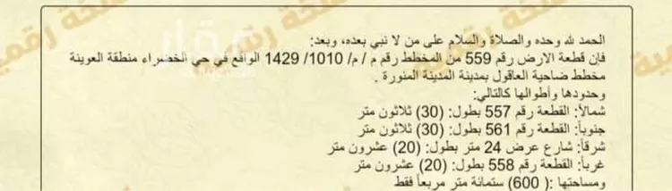 أرض للبيع في شارع حمد خصيوي حمد المزيني, حي الخضراء, مدينة المدينة المنورة, منطقة المدينة المنورة صورة 2