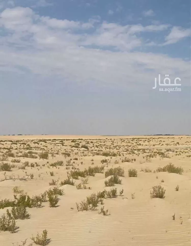 مزرعة للبيع في شارع طريق العقير, مدينة العقير, المنطقة الشرقية صورة 2