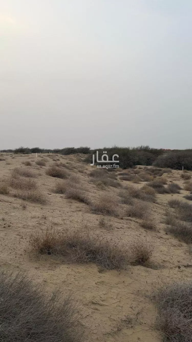 أرض للبيع في حي القدس 1, مدينة جازان, منطقة جازان صورة 3