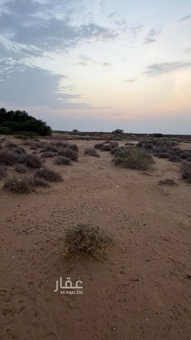 أرض للبيع في حي الناصرية 4, مدينة جازان, منطقة جازان