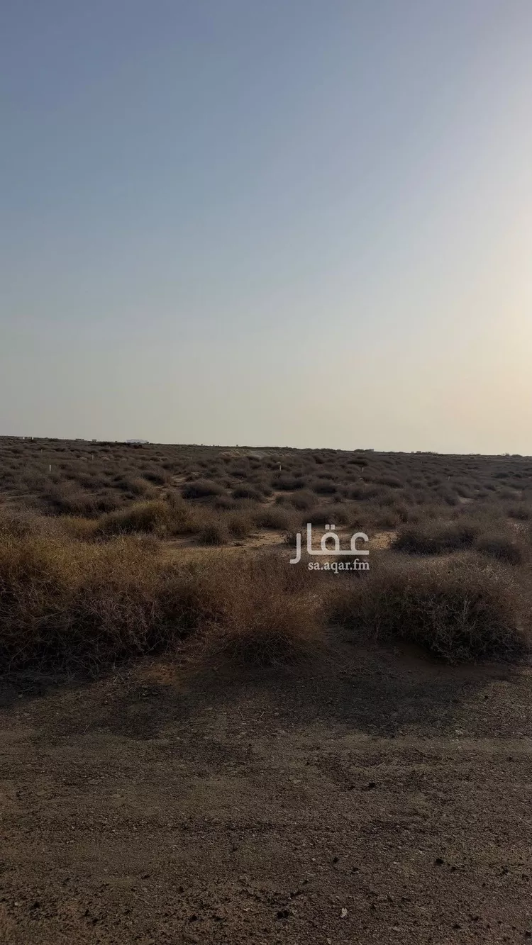 أرض للبيع في شارع غير مسمى, حي الناصرية 5, مدينة جازان, منطقة جازان