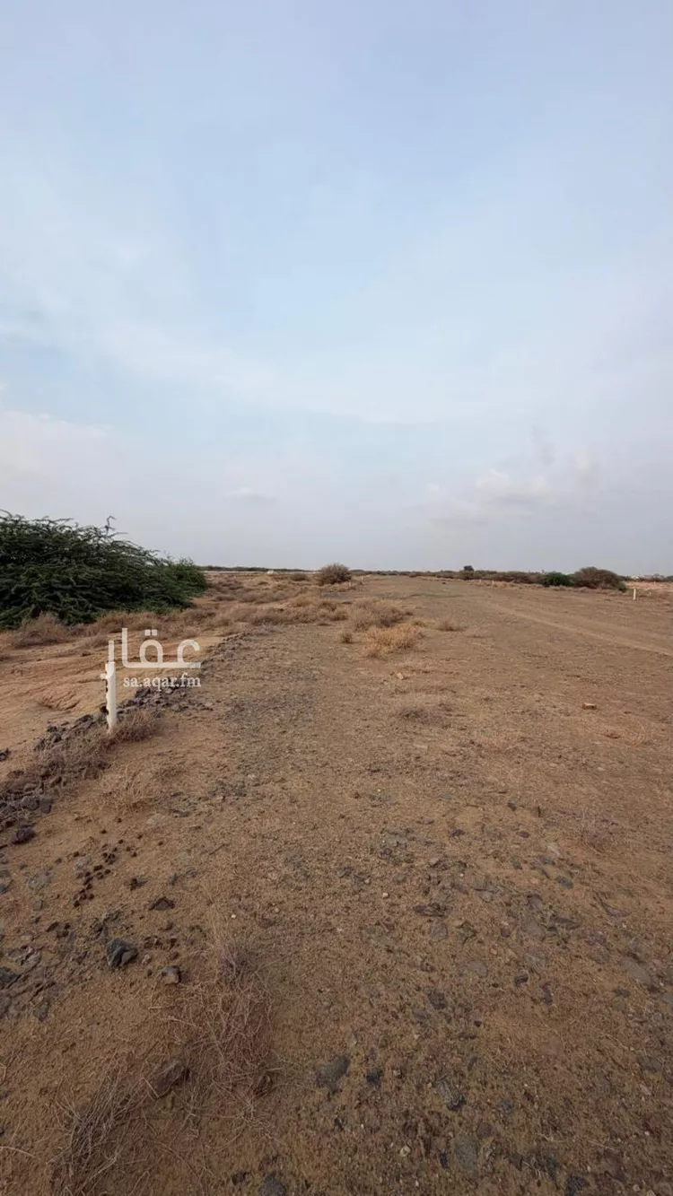 Land for Sale in Sabya Al Ghara صورة 3
