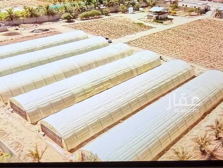 Farm for Sale in Al Muzahimiyah Al GhatGhat