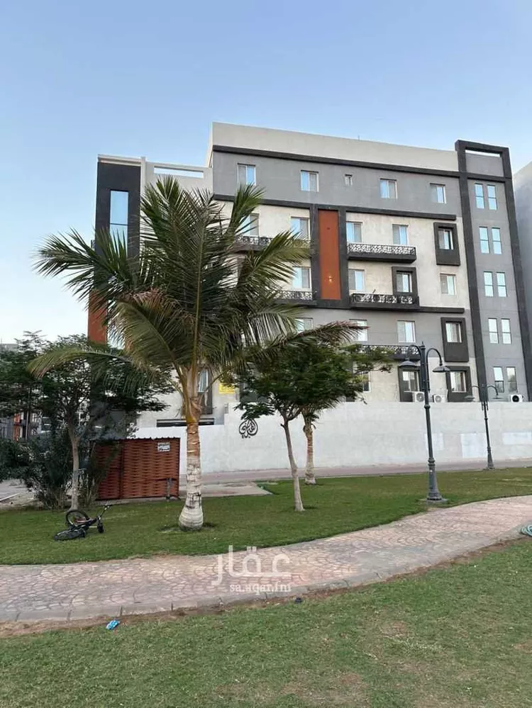 شقة للإيجار في شارع المجاديع ، حي المروة ، جدة ، جدة صورة 5