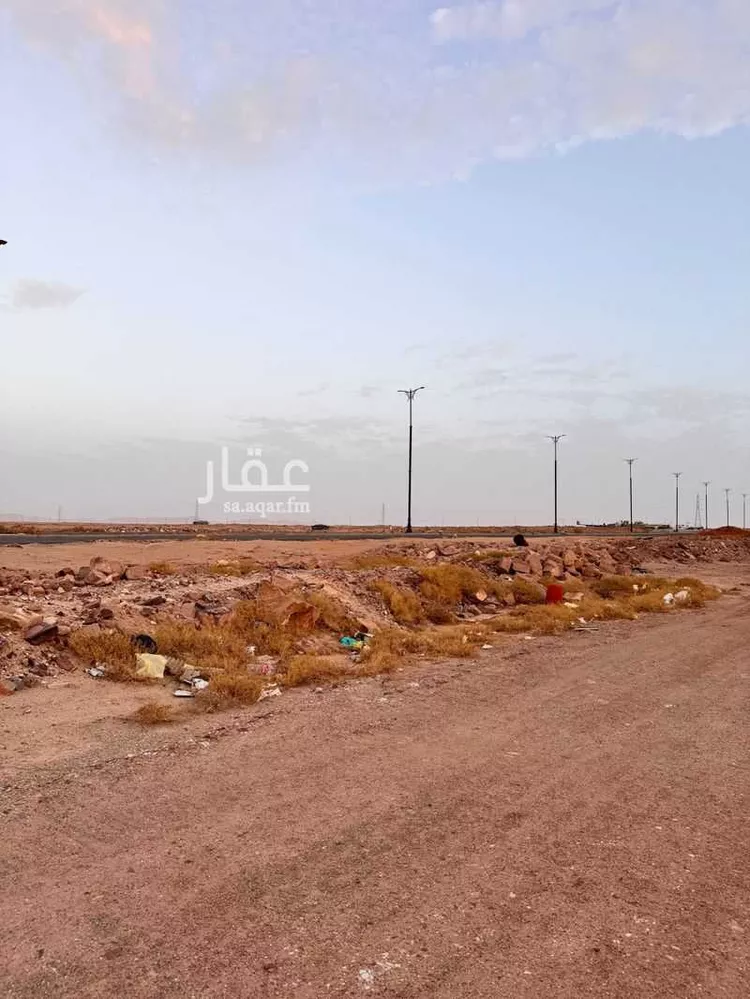 أرض للبيع في شارع سلطان بن عبدالعزيز, حي الرحمانية, مدينة تيماء, منطقة تبوك صورة 2