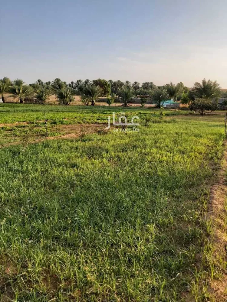 مزرعة للبيع في شارع عبد القادر الطبري, مدينة عنيزه, منطقة القصيم صورة 5