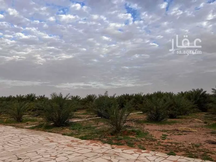 أرض للبيع في شارع طريق زراعي, حي مزارع البطينه والفرعه, مدينة مزارع البطينه والفرعه, منطقة الرياض صورة 2