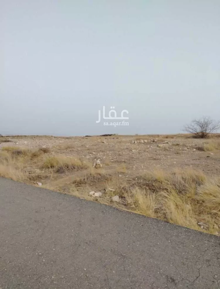 أرض للبيع في حي لصوب, مدينة لصوب, منطقة عسير صورة 2