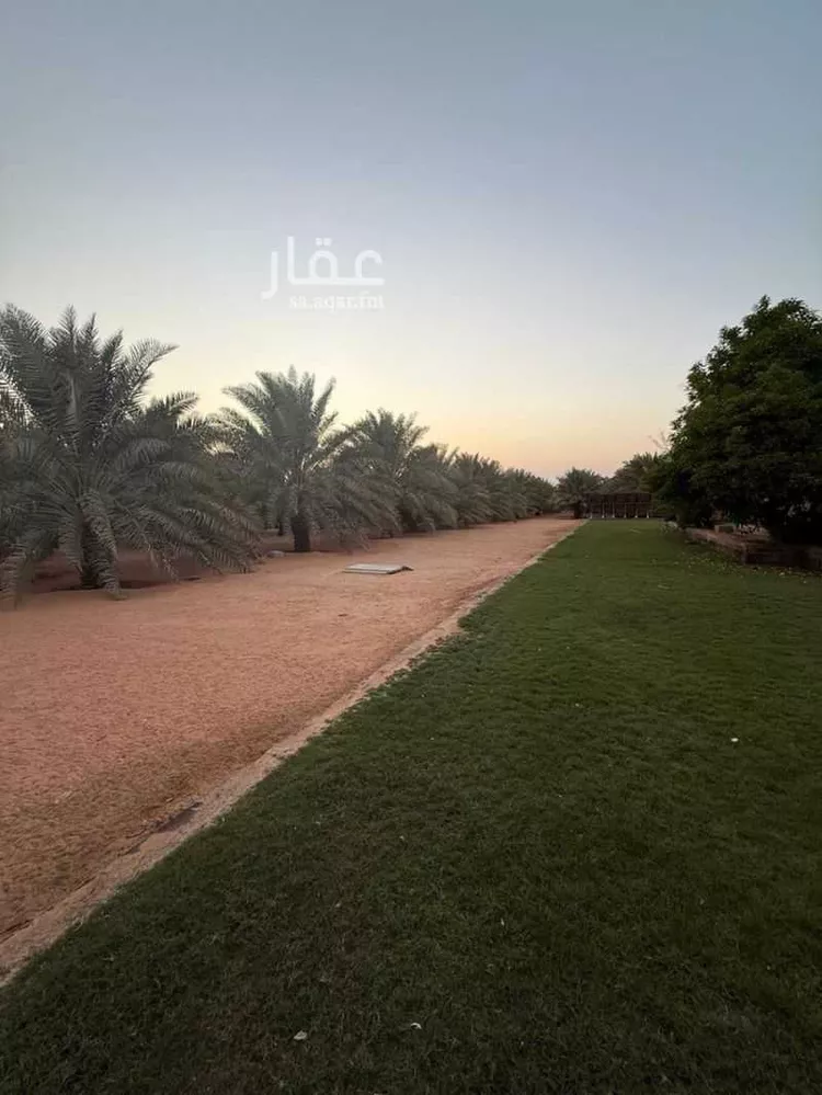 أرض للإيجار في شارع ابن الطفيل, حي أم الشعال, مدينة الرياض, منطقة الرياض صورة 4