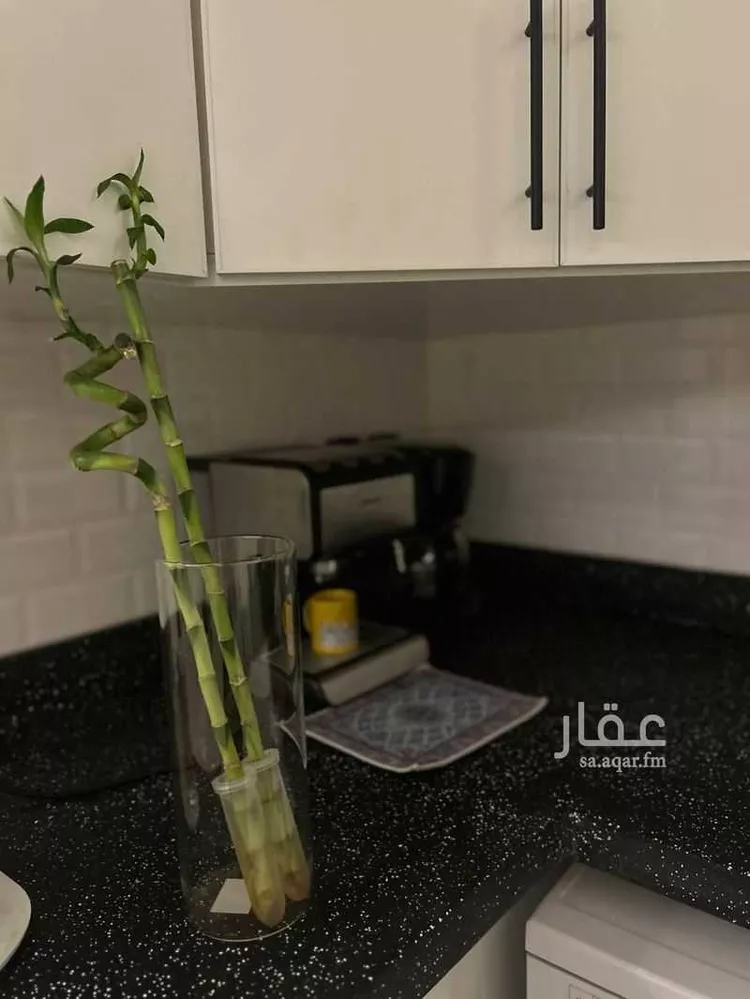Furnished Apartment for Booking in Riyadh Al Yasmin 12