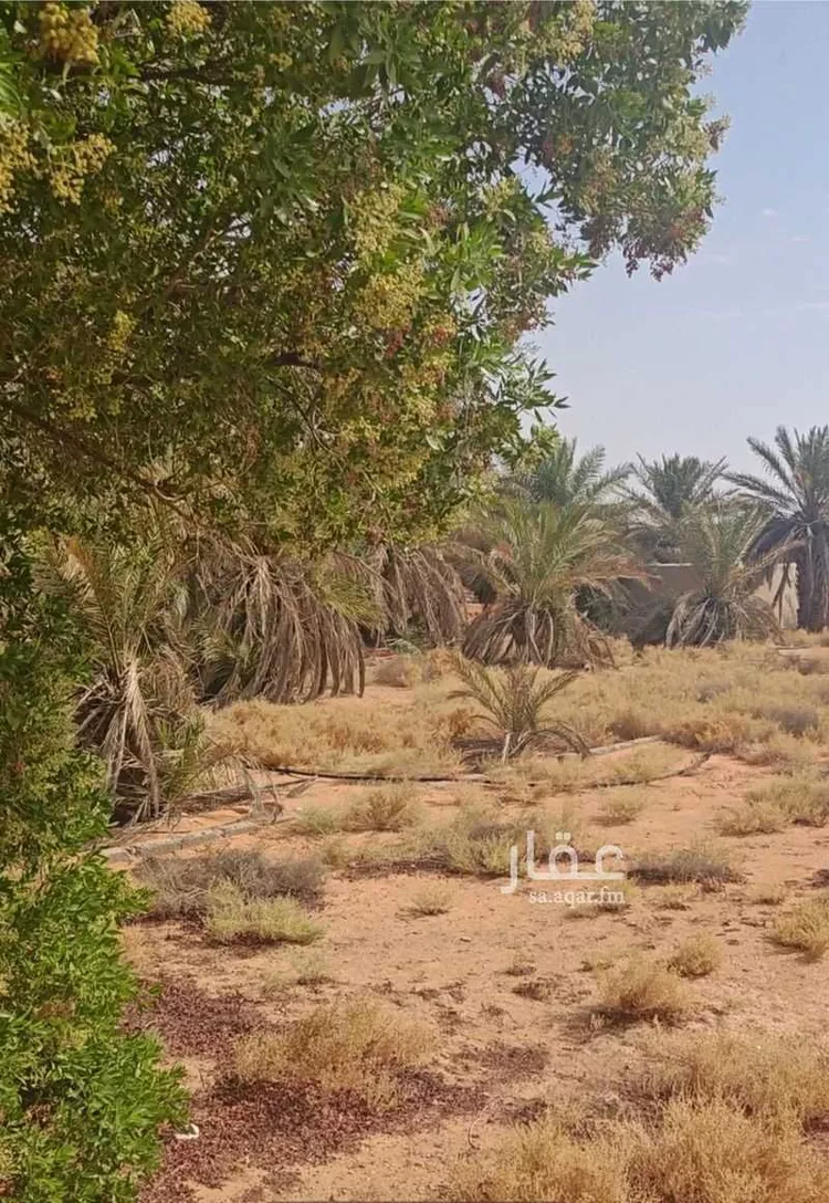 فيلا للبيع في شارع شارع فاطمة بنت أبي طالب, حي الدرعية, مدينة الزلفي, منطقة الرياض صورة 4