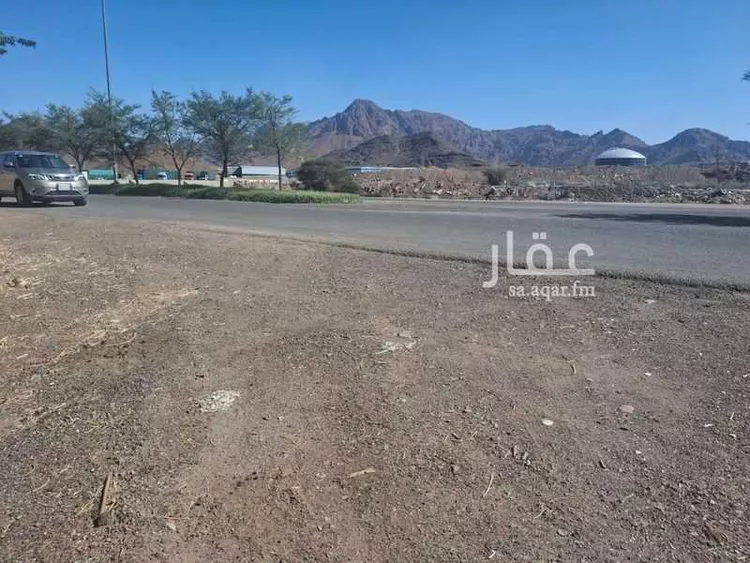 أرض للبيع في شارع حاجب بن يزيد, حي الغابة, مدينة المدينة المنورة, منطقة المدينة المنورة صورة 5