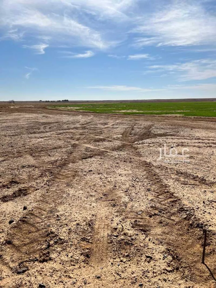مزرعة للبيع في حي مزارع الداهنه (القويطير الادني), مدينة مزارع الداهنه (القويطير الادني), منطقة الرياض صورة 3