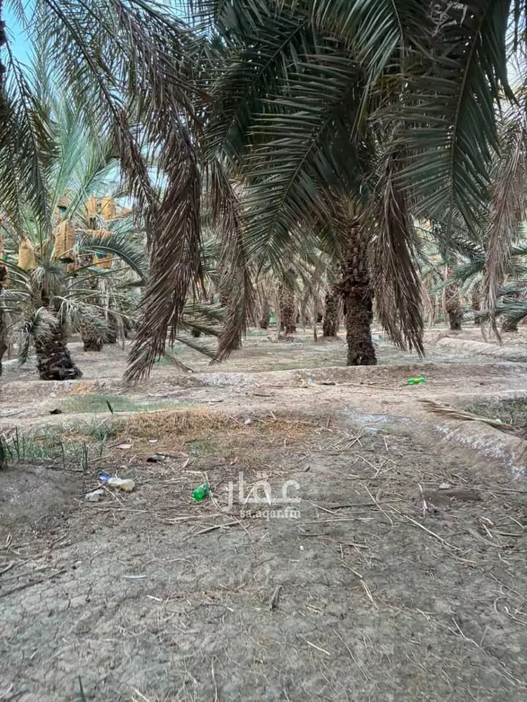 Farm for Sale in Medina Al Uyun