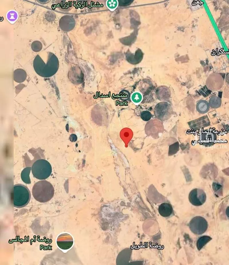 مزرعة للبيع في روضة الطويل ، الدوادمي