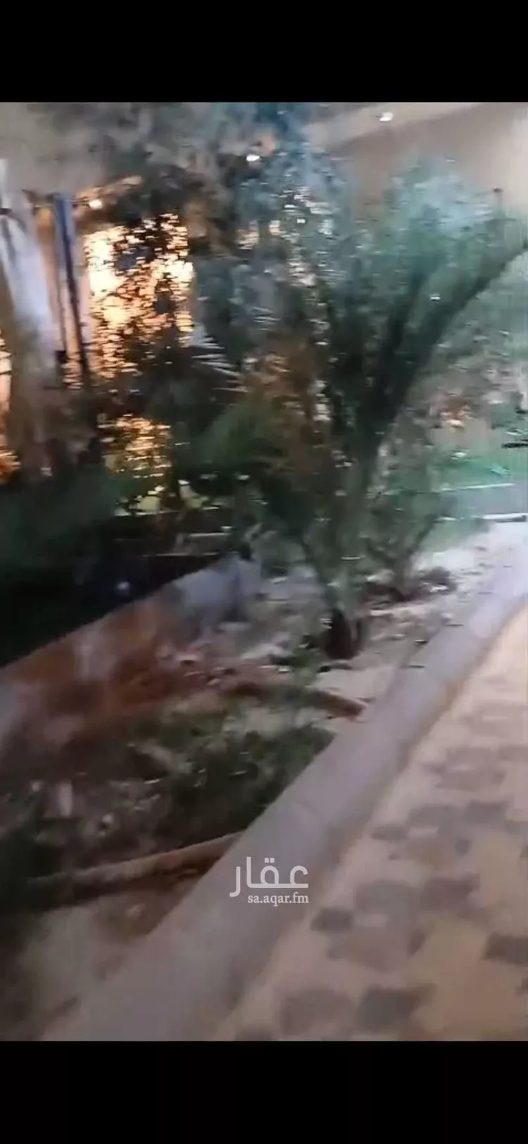 استراحة للإيجار في شارع محمد بن ماهان النيسابوري, حي الصناعية, مدينة المدينة المنورة, منطقة المدينة المنورة 15