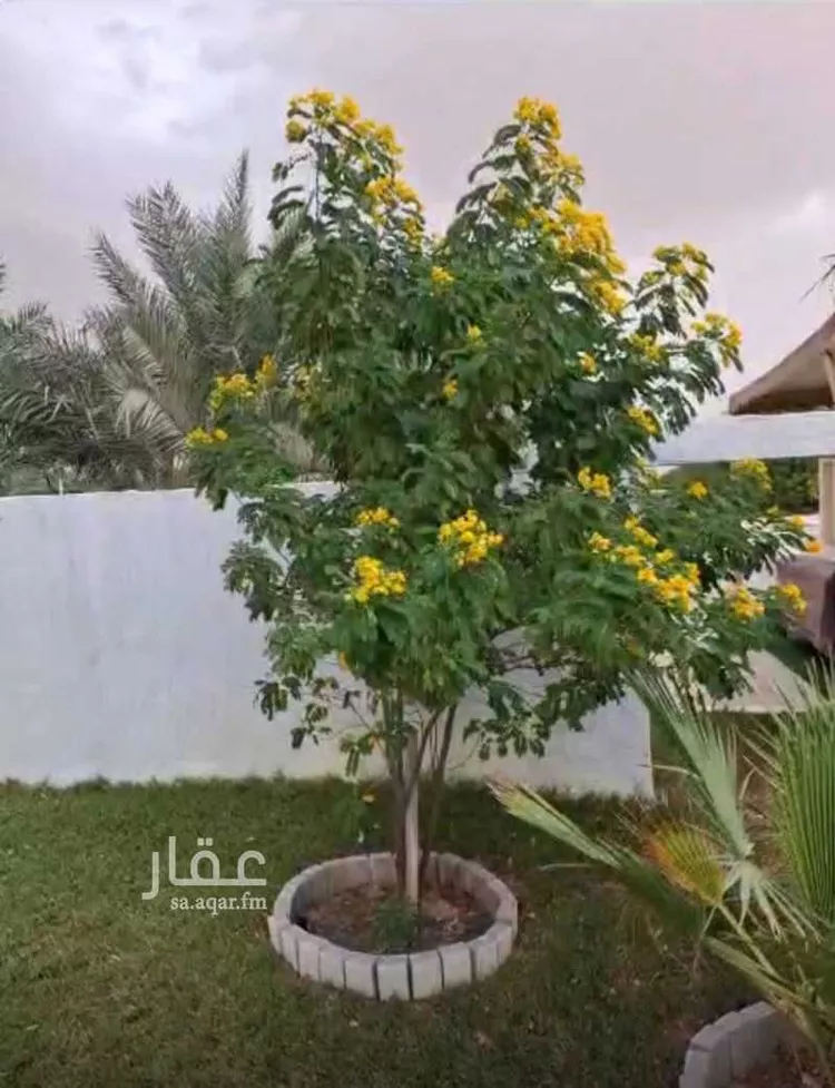 أرض للبيع في حي المصانع, مدينة مدينه الجبيل الصناعيه, المنطقة الشرقية 7