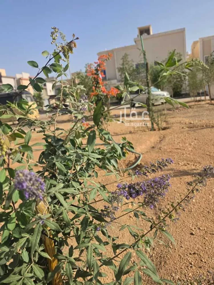 فيلا للإيجار في شارع عمر بن سعيد الأموي, حي طويق, مدينة الرياض, منطقة الرياض صورة 2