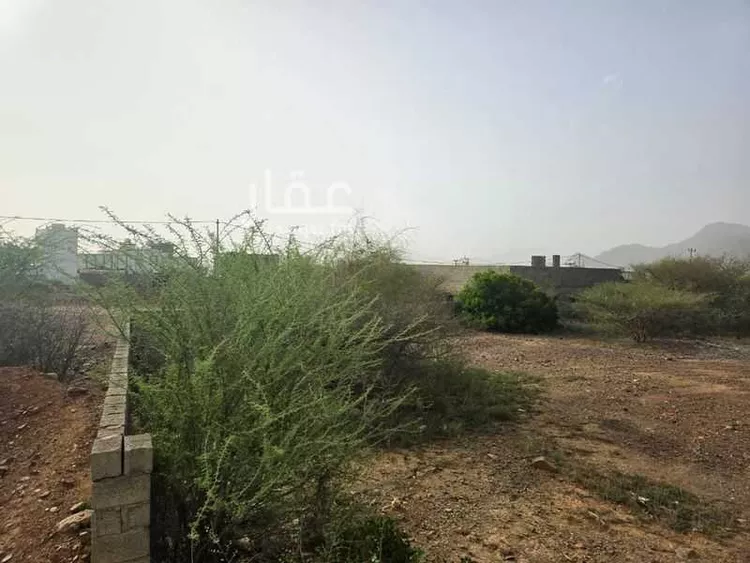 Land for Sale in Muhayil As Salamah صورة 4