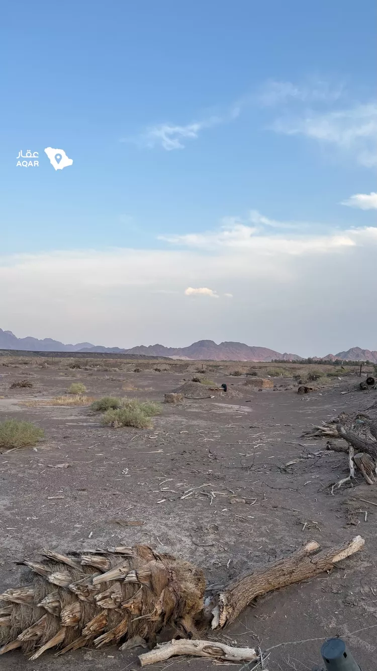 مزرعة للبيع في المملكة العربية السعودية صورة 4