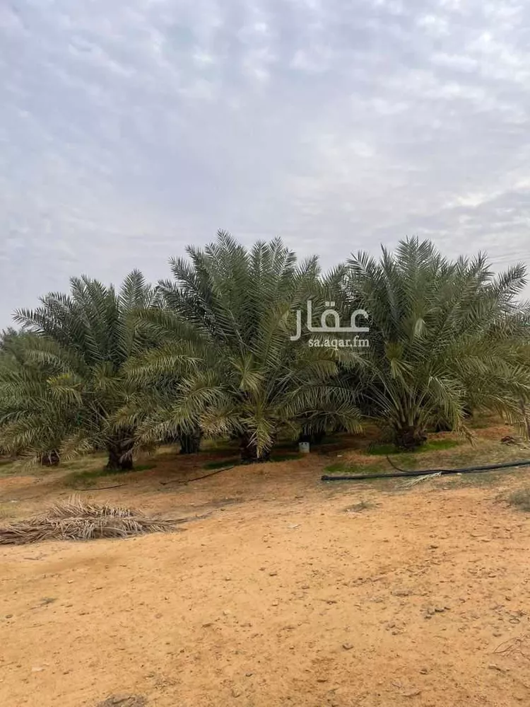 أرض للبيع في شارع 1111, حي ساق, مدينة ساق, منطقة القصيم صورة 3