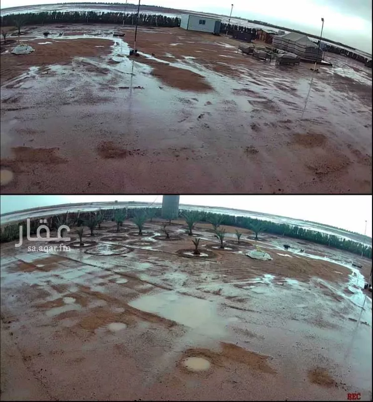 أرض للبيع في شارع 000000, حي سلطانه بالجله, مدينة سلطانه بالجله, منطقة الرياض