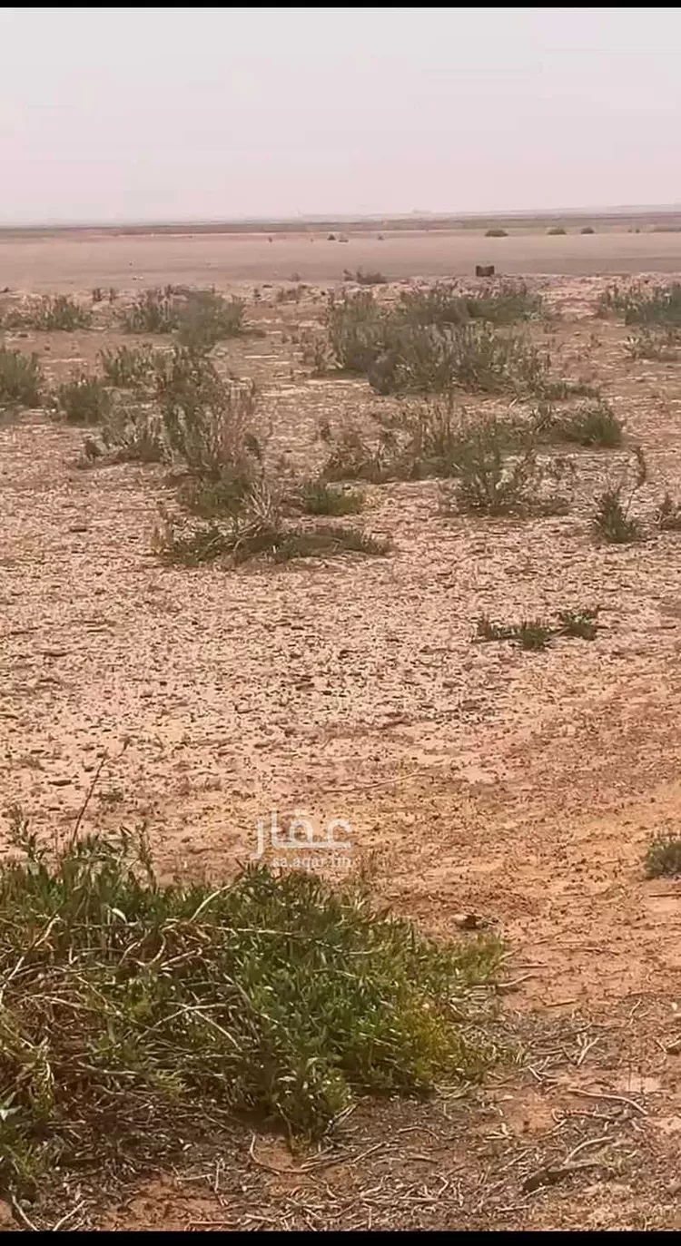مزرعة للبيع في حي حماده الفروثى, مدينة حماده الفروثى, منطقة الرياض صورة 2