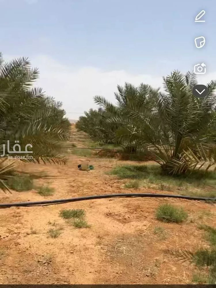 مزرعة للبيع في حي هجرة الجوفان, مدينة هجرة الجوفان, منطقة الرياض صورة 2