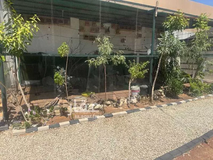 شاليه واستراحة للحجز في شارع وهب الجمحي ، حي اللسيب ، بريدة ، بريدة