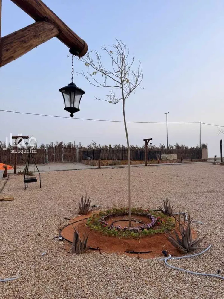 استراحة للإيجار في شارع 5817560, حي مزارع وادى العماريه, مدينة مزارع وادى العماريه, منطقة الرياض صورة 2