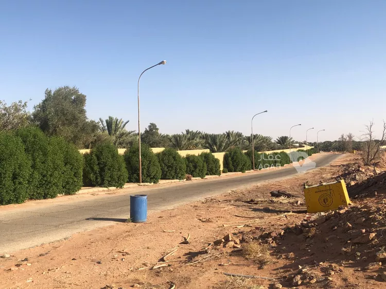 مزرعة للبيع في شارع ام الذهب, حي القدس, مدينة رياض الخبراء, منطقة القصيم 4