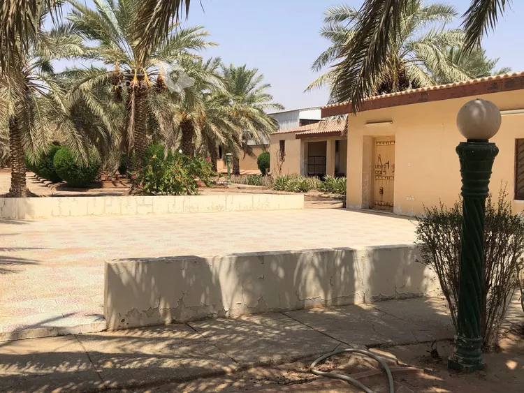 مزرعة للبيع في شارع ام الذهب, حي القدس, مدينة رياض الخبراء, منطقة القصيم 5