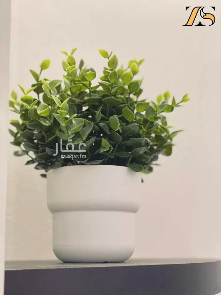 استديو مفروش للحجز في طريق ابي بكر الصديق, النرجس, الرياض صورة 5