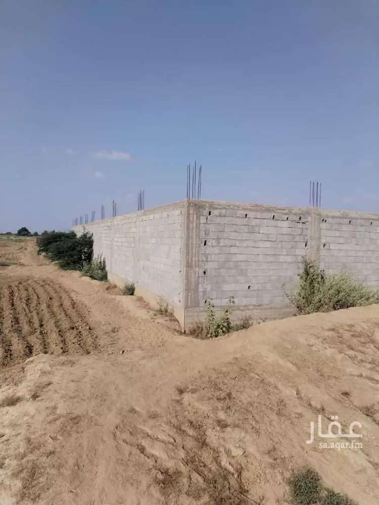 مزرعة للبيع في شارع علي بن ابي طالب, مدينة الدحيقي, منطقة جازان صورة 4