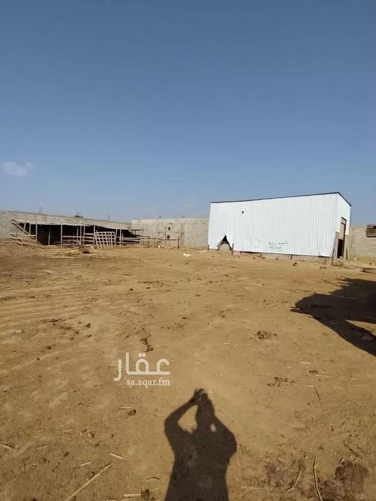 مزرعة للبيع في شارع علي بن ابي طالب, مدينة الدحيقي, منطقة جازان صورة 3