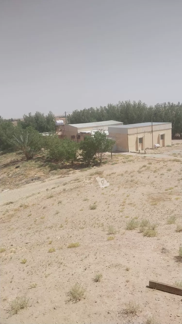 Farm for Sale in Al Duwadimi Ar Rabwah صورة 2