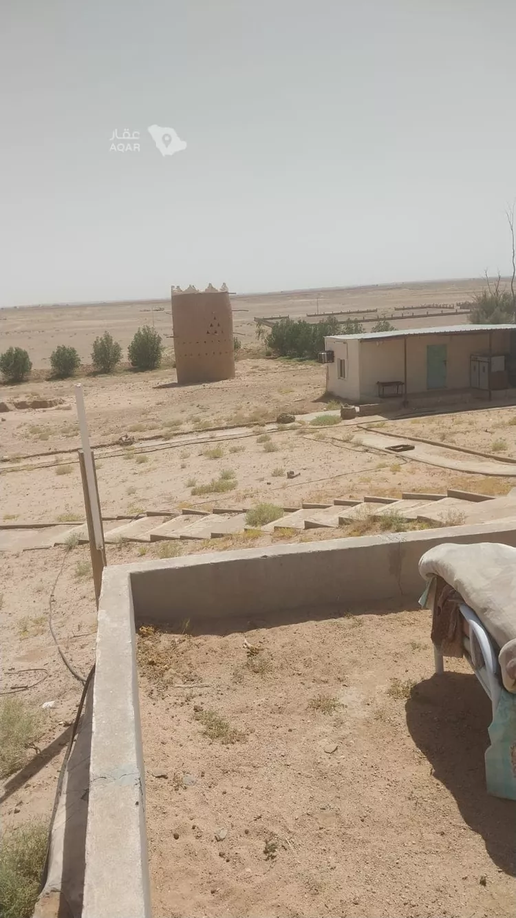 Farm for Sale in Al Duwadimi Ar Rabwah صورة 3