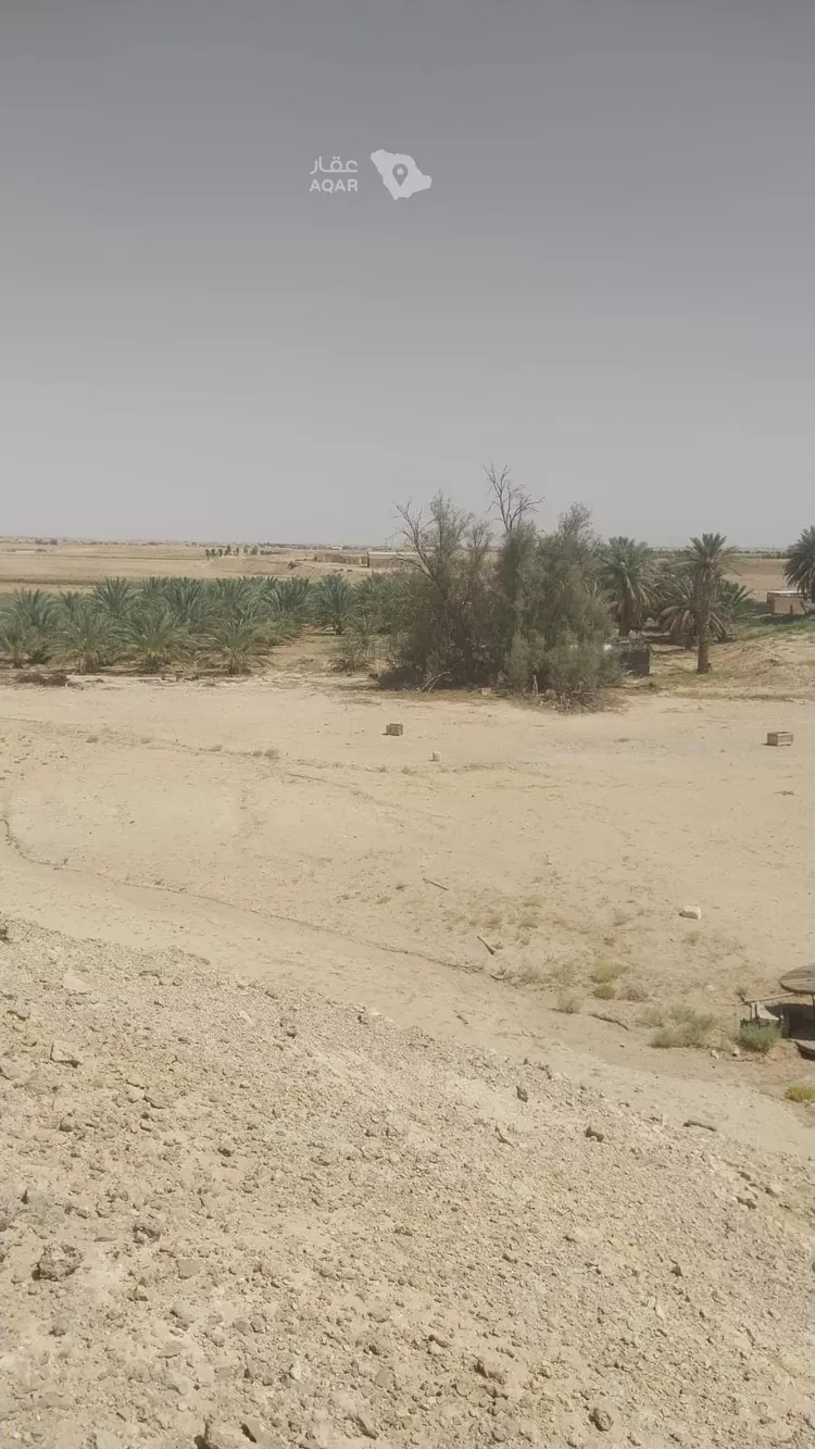 Farm for Sale in Al Duwadimi Ar Rabwah