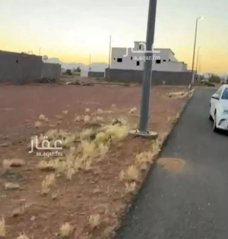 أرض للبيع في شارع الإسكندرية, حي الودي, مدينة حائل, منطقة حائل