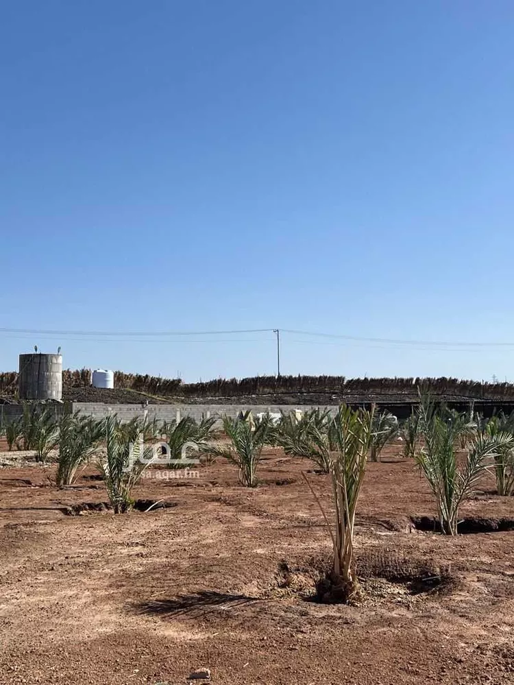 مزرعة للبيع في شارع اوس بن سعد, حي الخضراء, مدينة المدينة المنورة, منطقة المدينة المنورة صورة 4